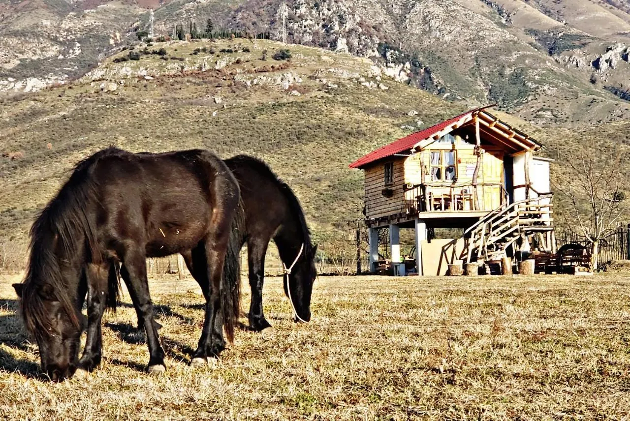 Camping Life On The Farm Hotel Nepravishte Albanië