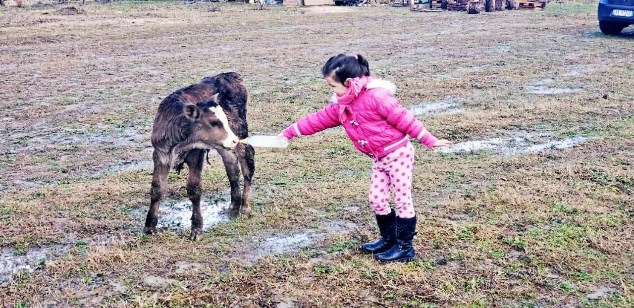 Kemp Hotel Life On The Farm Nepravishte