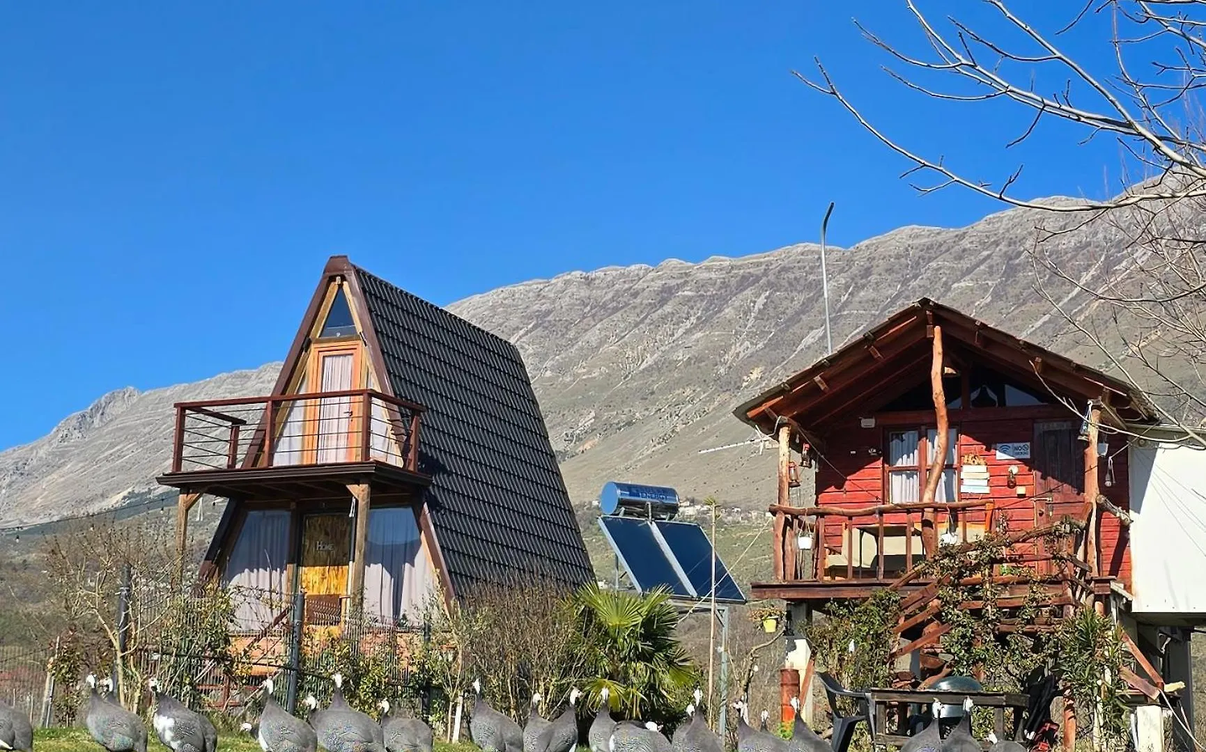 Life On The Farm Hotel Nepravishte Albanië